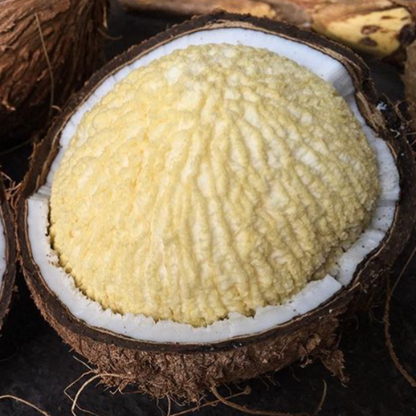 Sprouted Coconut *Pre-Order*