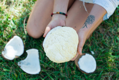 Sprouted Coconut *Pre-Order*